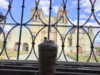 Oaxaka &ndash; &copy; Sabine Letzybyll (Eberhardt TRAVEL)
