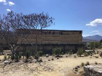 Mitla &ndash; &copy; Sabine Letzybyll (Eberhardt TRAVEL)