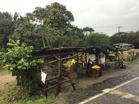  Mexiko &ndash; &copy; Sabine Letzybyll (Eberhardt TRAVEL)