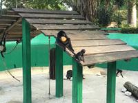 La Venta &ndash; &copy; Sabine Letzybyll (Eberhardt TRAVEL)