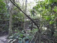 Palenque &ndash; &copy; Sabine Letzybyll (Eberhardt TRAVEL)
