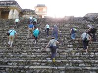 Palenque &ndash; &copy; Sabine Letzybyll (Eberhardt TRAVEL)