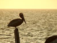  Mexiko &ndash; &copy; Sabine Letzybyll (Eberhardt TRAVEL)