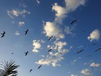  Mexiko &ndash; &copy; Sabine Letzybyll (Eberhardt TRAVEL)