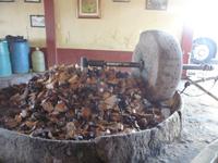 Mezcal Herstellung &ndash; &copy; Mandy Lehmann (Eberhardt TRAVEL)