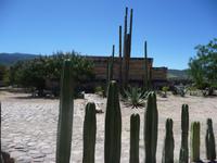 Typisch mexikanisch &ndash; &copy; Mandy Lehmann (Eberhardt TRAVEL)