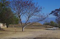 Monte Alban &ndash; &copy; Juliane Schwarze (Eberhardt TRAVEL)
