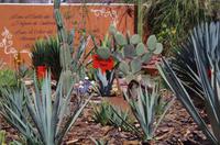 Mezcal Distillerie &ndash; &copy; Juliane Schwarze (Eberhardt TRAVEL)