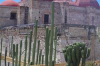 Mitla &ndash; &copy; Juliane Schwarze (Eberhardt TRAVEL)