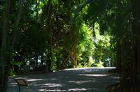 Museumspark La Venta &ndash; &copy; Juliane Schwarze (Eberhardt TRAVEL)