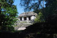Palenque &ndash; &copy; Juliane Schwarze (Eberhardt TRAVEL)