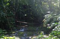 Palenque &ndash; &copy; Juliane Schwarze (Eberhardt TRAVEL)