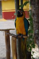 bei der Cenote &ndash; &copy; Juliane Schwarze (Eberhardt TRAVEL)