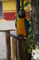 bei der Cenote &ndash; &copy; Juliane Schwarze (Eberhardt TRAVEL)