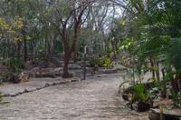 bei der Cenote &ndash; &copy; Juliane Schwarze (Eberhardt TRAVEL)