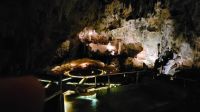 Kreuzfahrt Karibik - Ausflug zur Tropfsteinhöhle Cuevas de las Maravillas &ndash; &copy; Franziska Bergmann (Eberhardt TRAVEL)