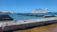 Kreuzfahrt Karibik - braune Pelikane in Cozumel, Mexiko &ndash; &copy; Franziska Bergmann (Eberhardt TRAVEL)