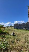 Kreuzfahrt Karibik - Besichtigung der Maya-Stadt Tulum, Mexiko &ndash; &copy; Franziska Bergmann (Eberhardt TRAVEL)