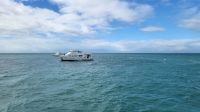 Kreuzfahrt Karibik - Tendern in Belize &ndash; &copy; Franziska Bergmann (Eberhardt TRAVEL)