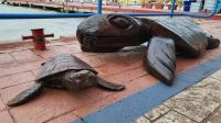 Kreuzfahrt Karibik - Willkommen in Belize City &ndash; &copy; Franziska Bergmann (Eberhardt TRAVEL)