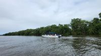 Kreuzfahrt Karibik - Bootsfahrt auf dem Belize River &ndash; &copy; Franziska Bergmann (Eberhardt TRAVEL)