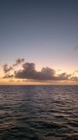 Kreuzfahrt Karibik - Ein Tag auf See &ndash; &copy; Franziska Bergmann (Eberhardt TRAVEL)