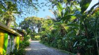 Kreuzfahrt Karibik - Start zu den Kanälen von Tortuguero, Costa Rica &ndash; &copy; Franziska Bergmann (Eberhardt TRAVEL)