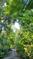 Kreuzfahrt Karibik - Start zu den Kanälen von Tortuguero, Costa Rica &ndash; &copy; Franziska Bergmann (Eberhardt TRAVEL)