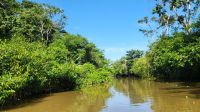 Kreuzfahrt Karibik - Bootsfahrt in den Kanälen von Tortuguero, Costa Rica &ndash; &copy; Franziska Bergmann (Eberhardt TRAVEL)