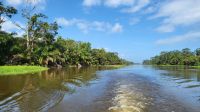 Kreuzfahrt Karibik - Bootsfahrt in den Kanälen von Tortuguero, Costa Rica &ndash; &copy; Franziska Bergmann (Eberhardt TRAVEL)