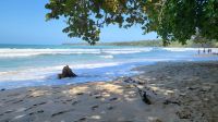 Kreuzfahrt Karibik - Spaziergang am Rande des Cahuita-Nationalparks, Costa Rica &ndash; &copy; Franziska Bergmann (Eberhardt TRAVEL)
