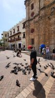Kreuzfahrt Karibik - La Plaza de San Pedro Claver in Cartagena, Kolumbien &ndash; &copy; Franziska Bergmann (Eberhardt TRAVEL)