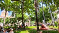Kreuzfahrt Karibik - Parque de Bolívar in Cartagena, Kolumbien  &ndash; &copy; Franziska Bergmann (Eberhardt TRAVEL)