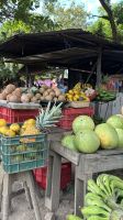 055 Obststand Granada &ndash; &copy; Mary Dobberkau (Eberhardt TRAVEL)
