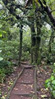 051 Nebelwald Vulkan Mombacho &ndash; &copy; Mary Dobberkau (Eberhardt TRAVEL)