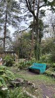 006 Ecolodge Selva Negra &ndash; &copy; Mary Dobberkau (Eberhardt TRAVEL)