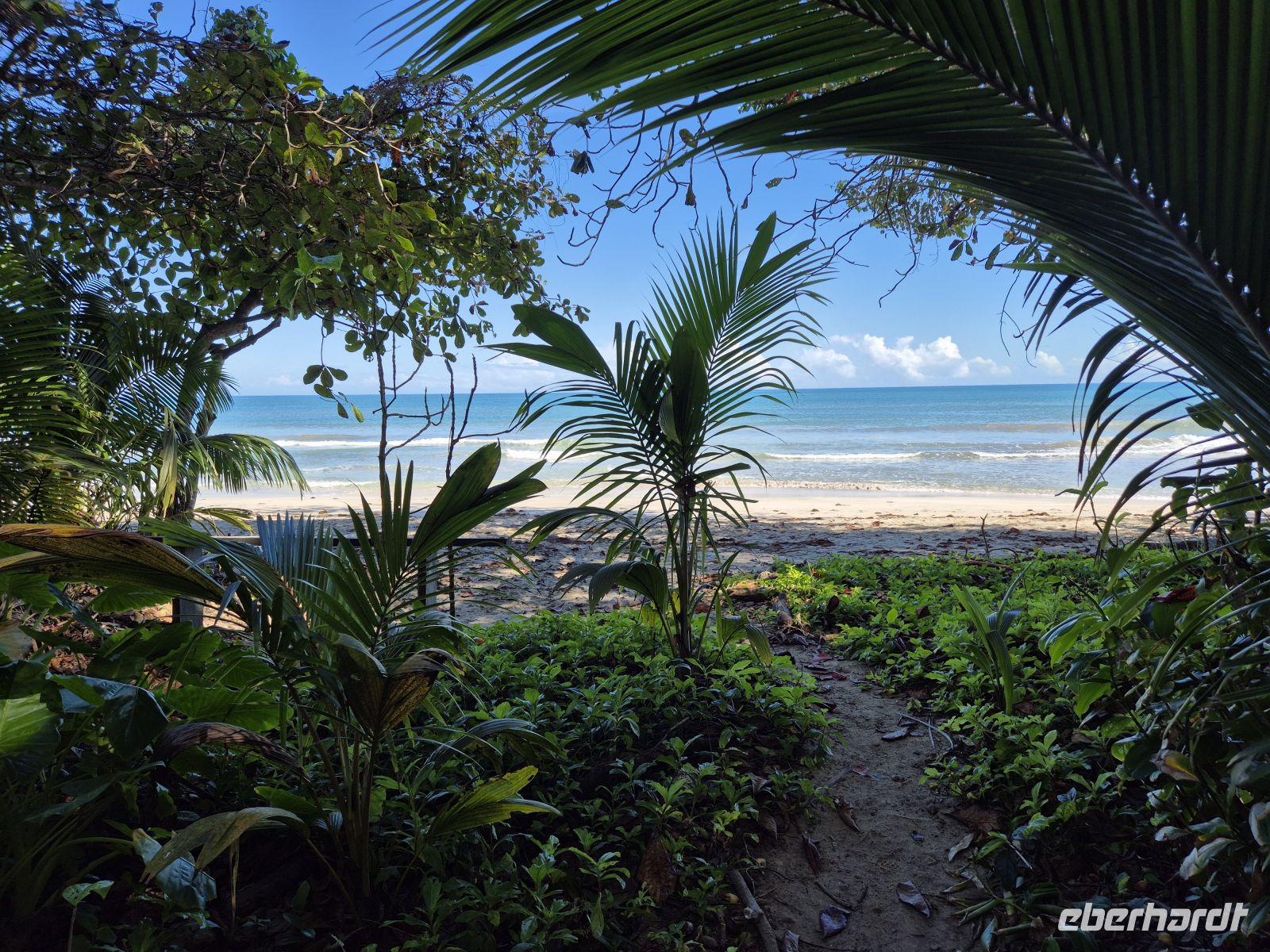 im Cahuita NP &ndash; &copy; Frank Nimschowski (Eberhardt TRAVEL)