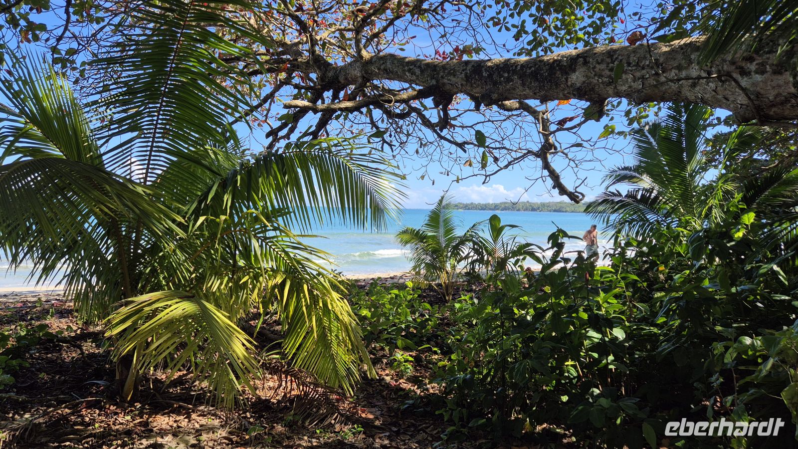 im Cahuita NP &ndash; &copy; Frank Nimschowski (Eberhardt TRAVEL)