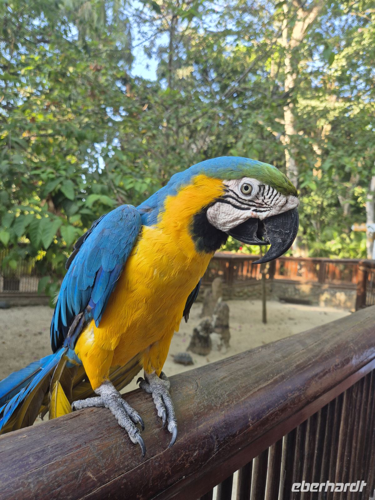 Tierpark im Hafen &ndash; &copy; Frank Nimschowski (Eberhardt TRAVEL)