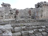 Leguane fühlen sich hier heimisch &ndash; &copy; Anne Schröder (Eberhardt TRAVEL)