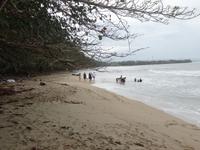 Cahuita-Nationalpark &ndash; &copy; Anne Schröder (Eberhardt TRAVEL)