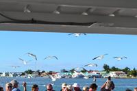 Belize (17)