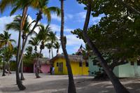 Isla Catalina (11)