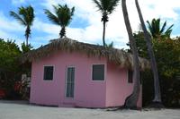 Isla Catalina (12)