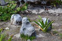 Tulum (17)
