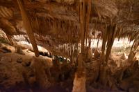 0417 Bus 1 - Mallorca_Drachenhöhle &ndash; &copy; Konrad Füssel (Eberhardt TRAVEL)