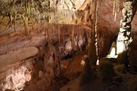 0419 Bus 1 - Mallorca_Drachenhöhle &ndash; &copy; Konrad Füssel (Eberhardt TRAVEL)