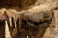 0420 Bus 1 - Mallorca_Drachenhöhle &ndash; &copy; Konrad Füssel (Eberhardt TRAVEL)