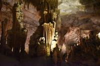 0421 Bus 1 - Mallorca_Drachenhöhle &ndash; &copy; Konrad Füssel (Eberhardt TRAVEL)