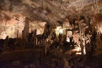 0424 Bus 1 - Mallorca_Drachenhöhle &ndash; &copy; Konrad Füssel (Eberhardt TRAVEL)